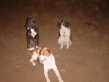 The Boys