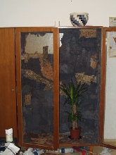 water dragon  cage