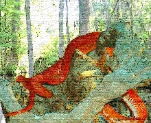 Blood in the Swamp
