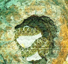 hogArt VIII