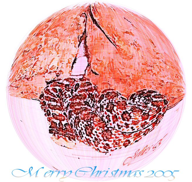 Hognose Merry Christmas