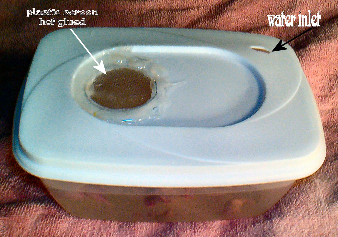 pinky rinser homemade