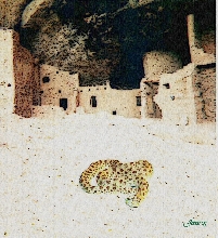 Mesa Verde Hognose