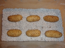 Eastern Indigo Eggs