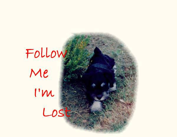 Lost