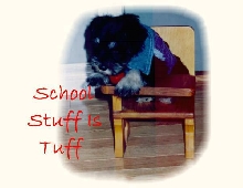 school