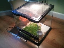 Zoo Med Terrarium