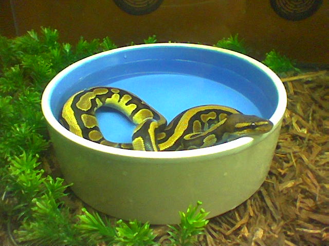 james brown in tha hot tub! PT.2