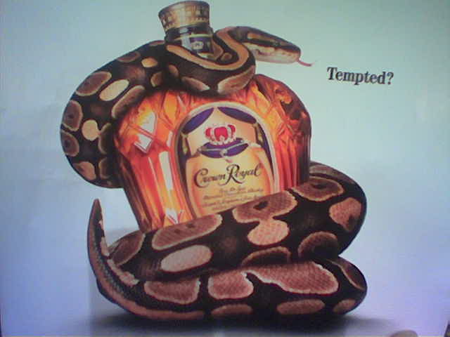 Tempted Python