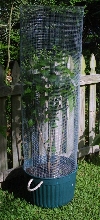 Tube Cage