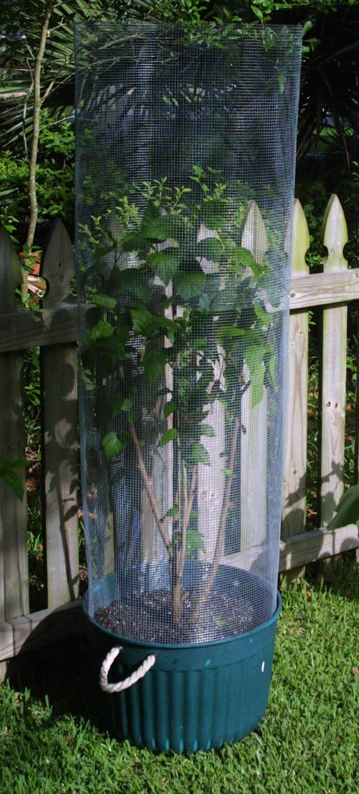 Tube Cage