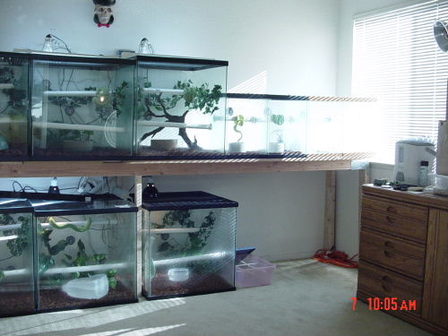 Aroreal Room other side