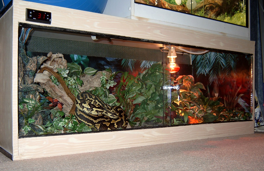 Bentleys Viv