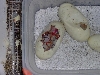 Bee in egg