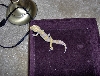 Albino Tremper F 1