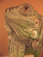 Is this my good side?