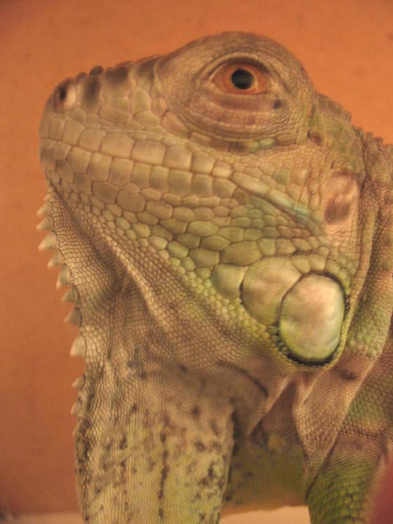 Is this my good side?
