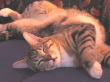 Sooo Relaxed!