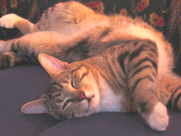 Sooo Relaxed!