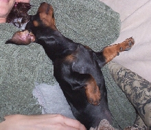 Sleeping with mommy