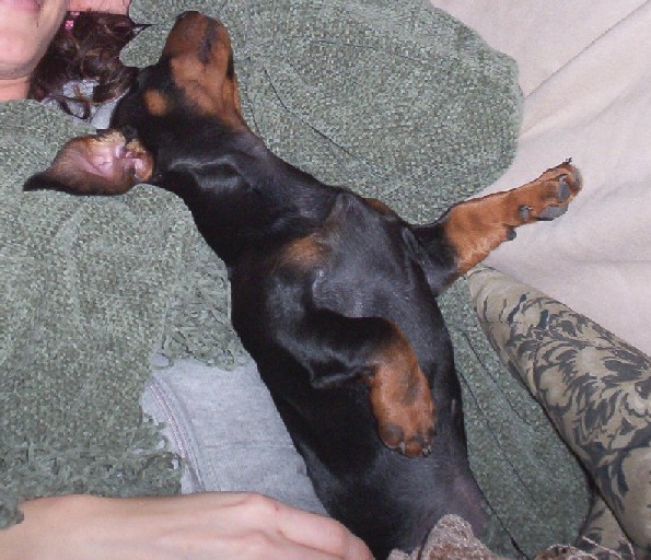 Sleeping with mommy