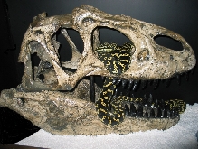 Jurassic Jungle Python