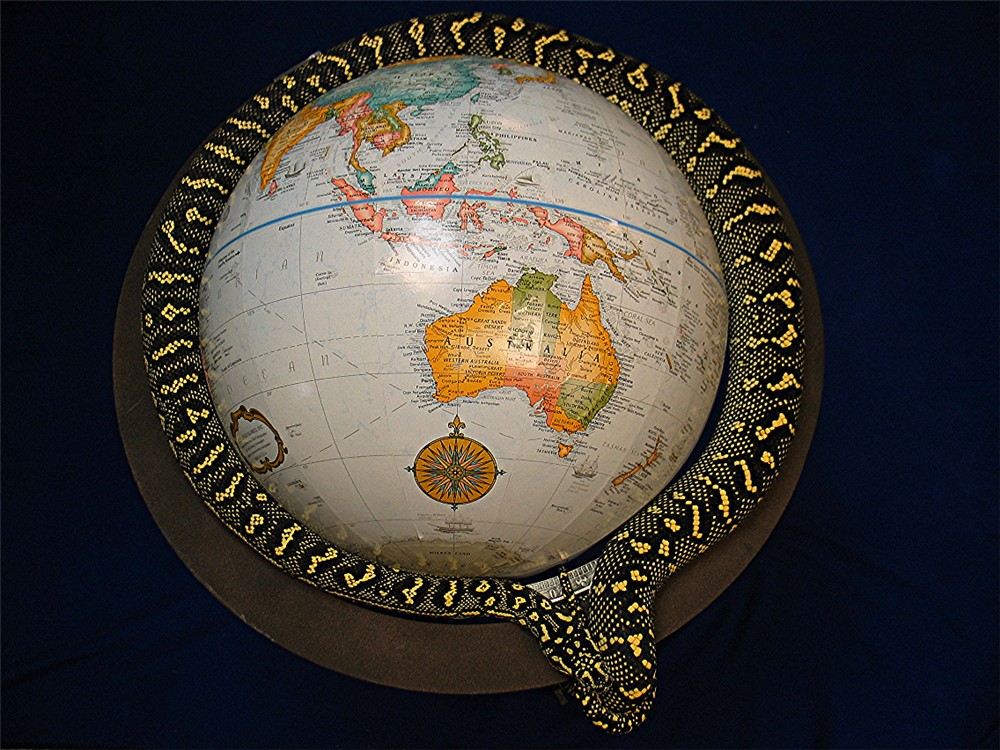 Global Morelia
