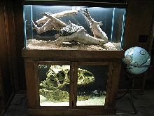 Carpet python cage completed