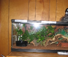 Mitch's Setup
