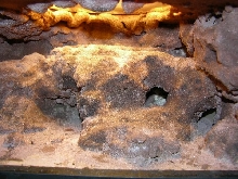 cage hide