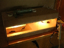 leopard cage