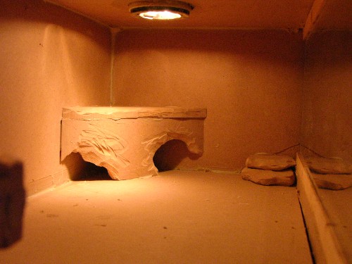 leopard cage