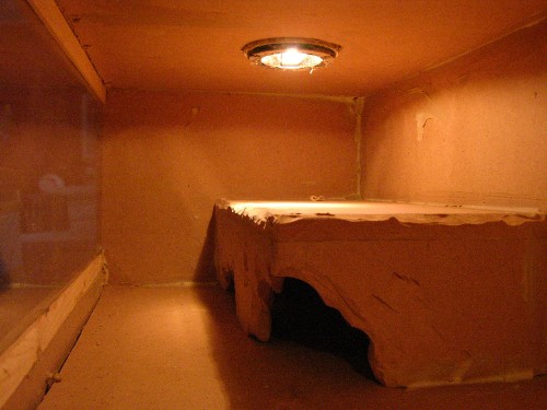 leopard cage