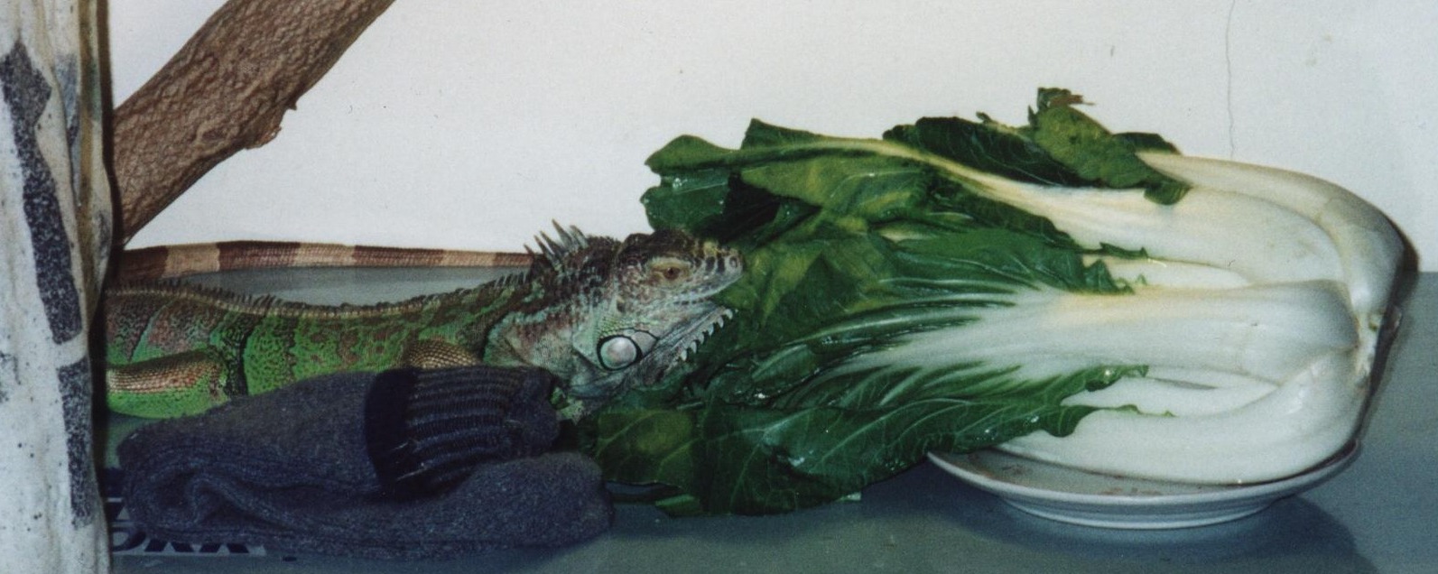 Dinner time!