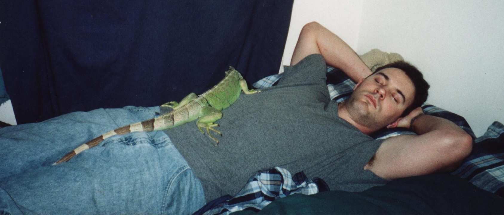 Lizard & Eddie