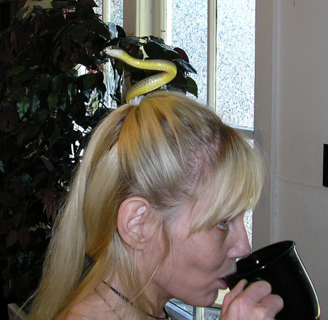 mobile hat