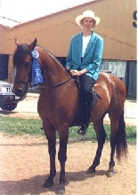 PJ - Paso Fino