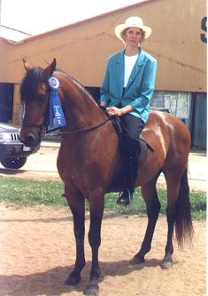 PJ - Paso Fino