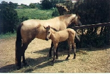 Nina & La Nanne