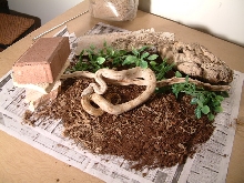 Homeade Photo Lab