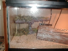 left side leos cage