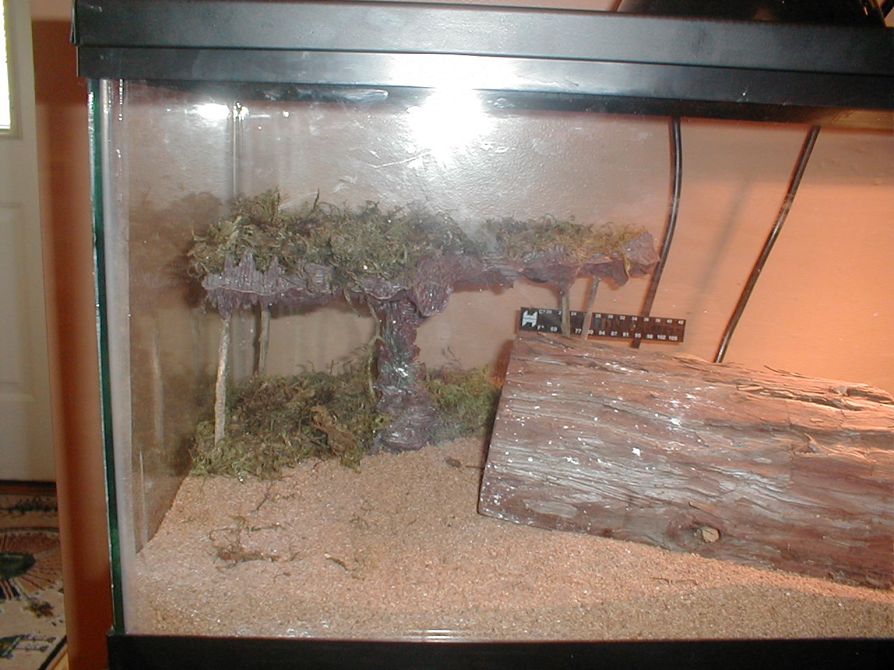 left side leos cage