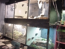 Just some of my terreriums