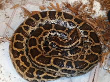 my first baby