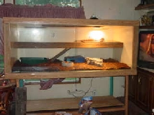 Tegu home