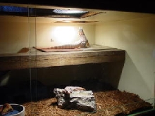 tegu cage - right side