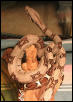 04 boa litter