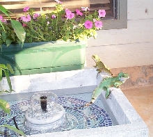 another fountain pic