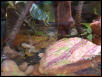 Close up Area of Masked Enclosure