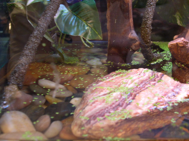Close up Area of Masked Enclosure